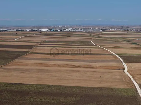 Tekirdağ Ergene Sağlık Arazi 13.000m2 Tek Tapu Tarla 2