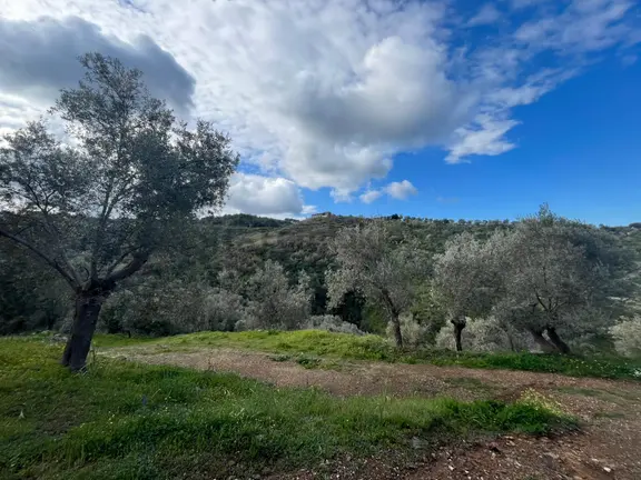 Seferihisar Gödence Satılık 7975 M2 Yatırımlık Bedava Tarla 1