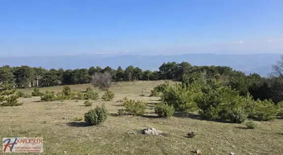 Sakarya P.ova Akçakaya Ormana Cephe Kaçırılmayacak Kupon Arazi 2