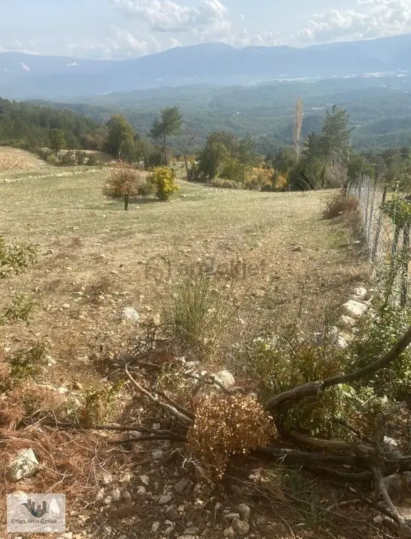 Kaş Gürsu Da Müstakil Tapulu Arsa... 1
