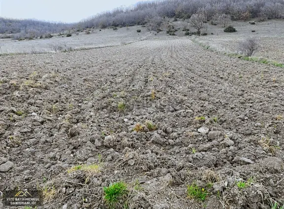 Evrencikte Asfalta Cephe 1.995 M2 Satılık Tek Tapu Tarla 2