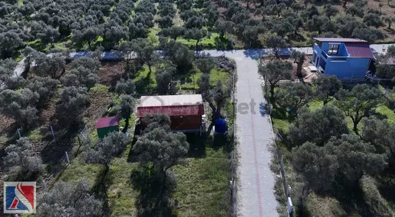 Torbalı Çakırbeylide 319 M2 Yerleşim Alanı İçinde Tapulu Parsel 1