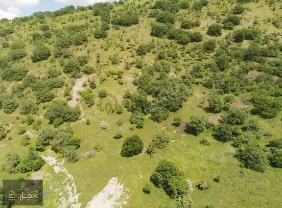 Ayaş Yağmurdede Mah.de Tek Tapu 1.499 M2 Bağ Yeri 1