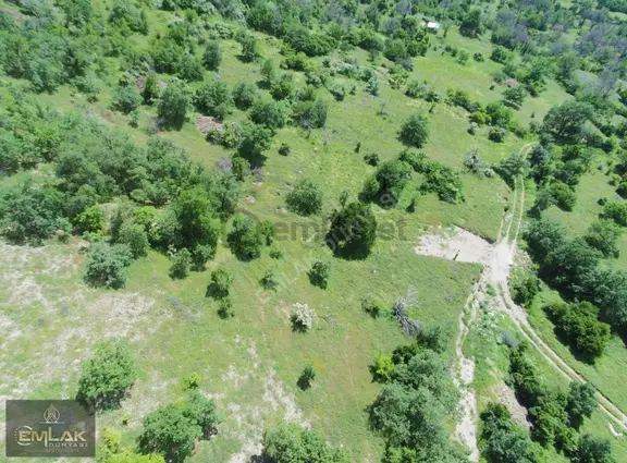 Ayaş Yağmurdede Mah.de Tek Tapu 1.499 M2 Bağ Yeri 2