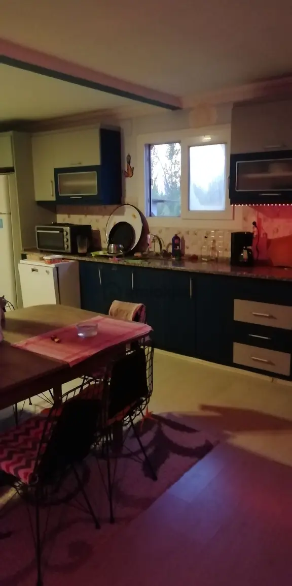 Çiftlik Evi 2