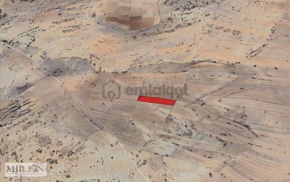Korkuteli Yeltende Yol Üstü Satılık Tarla Yatırım Fırsatı 1