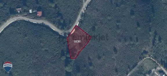 Remax Mavi'den Hendek'te 3044 M2 %40 İmarlı Yola Cepheli Arsa 2