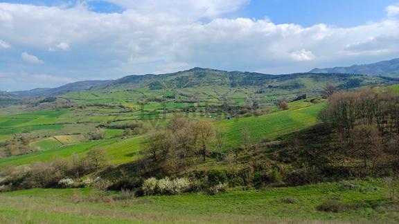 Uzmanlar'dan Kızderbent 6325 M2 %5 İmarlı Satılık Tarla 2