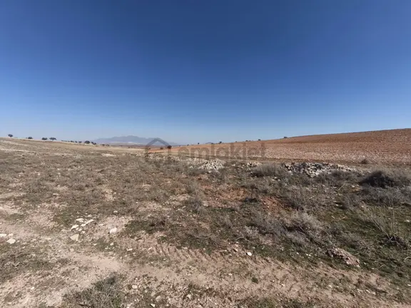 Sahibinden Karaman Kazımkarabekir Kadastro Yol Ve Müstakil Tapulu Tarla 1