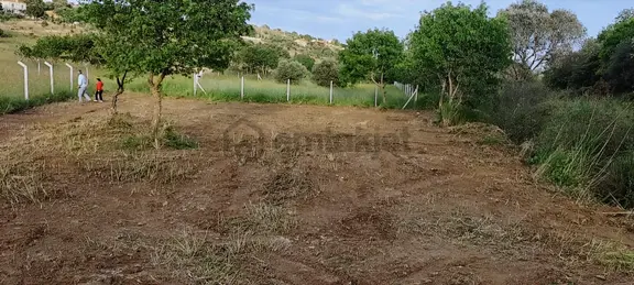 Foça Bağarasında Satılık Tarla 1