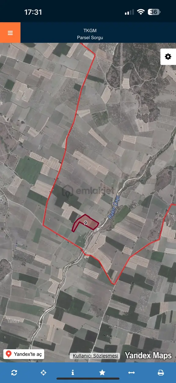 Manisa Kırkağaç Gelenbe Mah 15.600m2 Tek Tapu Tarla Kelepir 2