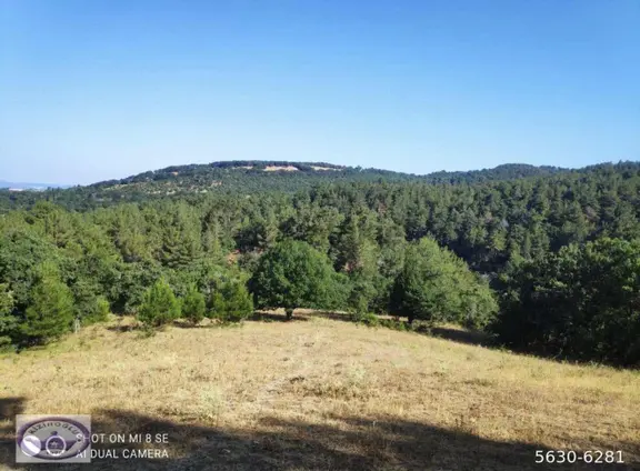 Balıkesir Havran Küçükşapçıda Kelepir 18.603m2 Müstakil Arazi 2