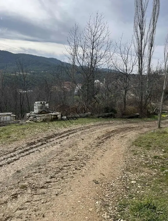 Göynük Dağşeyhleri Köyünde Köy Manzaralı 1538m2 Satılık Arazi 2