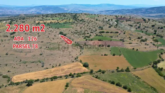 Korgun Marufta 5 Adet Parsel İster Toplu İster Tek Parça 2