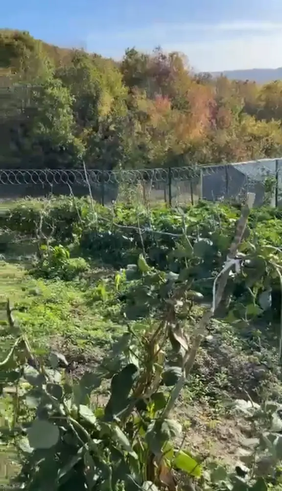 Rise Emlâk Tan Satılık 300 M2 Arsa 2