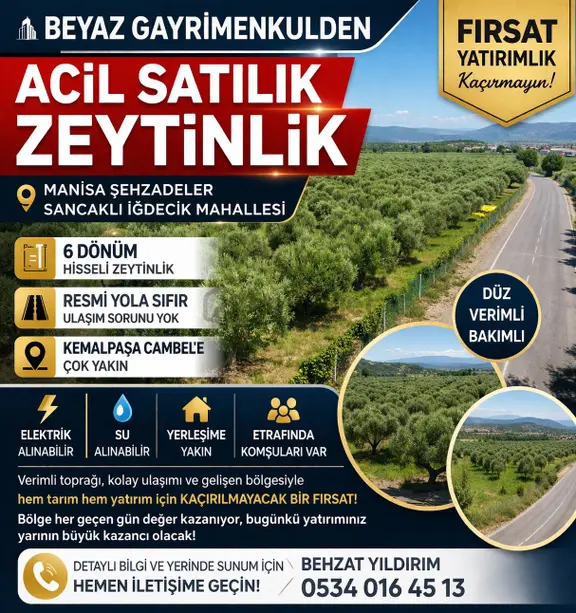 Beyaz Gayrimenkulden Sancaklı İgdecik Mh Satılık 6 Dönüm Zeytinlik 1