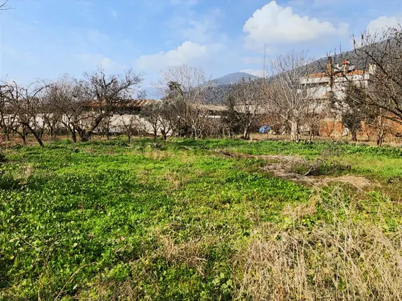 Barakfaki'de 1/1000 Planda İmarlı Arsa 2
