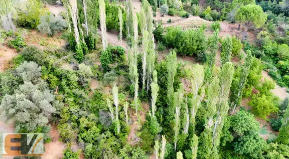 Bergama Alhatlı 1391 M2 Yolu Olan Satılık Parsel 2