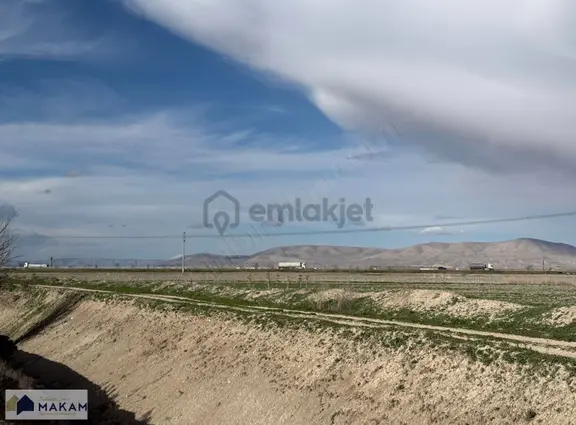 Yarma'da 42.600m2 Müstalık Sulak Tarla 2