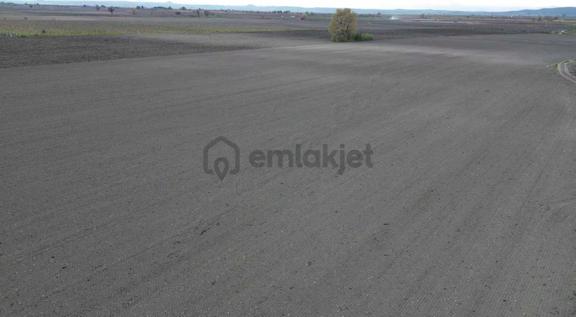 Dostlardan Gölmarmarada Satılık 300 Dönüm Verimli Arazi 2