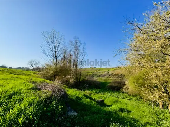 Kandıra Şerefsungurda Doğa İçinde 907 M² Satılık Tarla 2