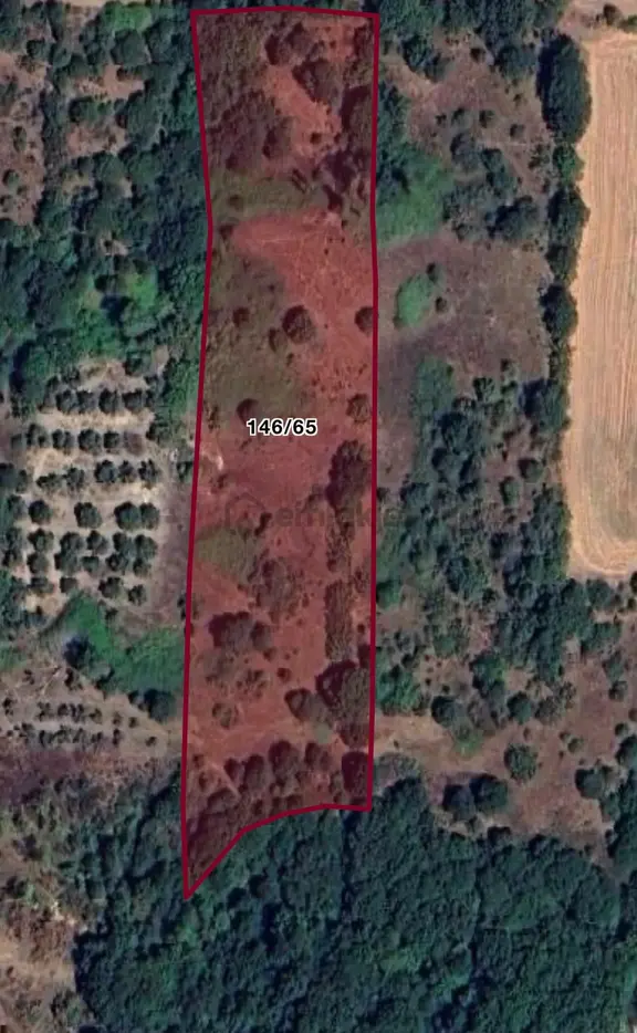 Çanakkale Biga Koruoba 11.150m² Yatırımlık Müstakil Fırsat Tarla 2