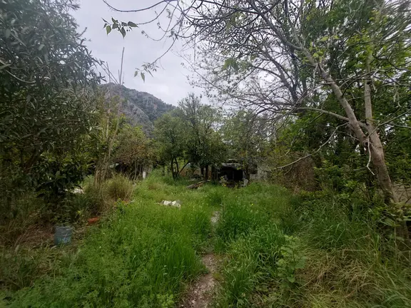 Ortaca Okçular Marmarlı Da 3.000 M2 Müstakil Arazide Köy Evi Satılık 2