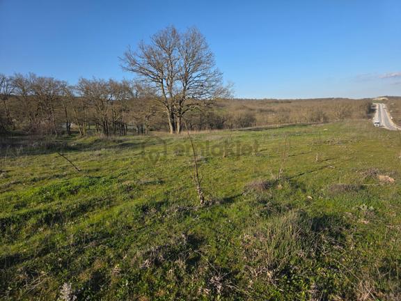 Kırklareli Merkez Koruköyde Ana Yol Üzeri Satılık Tarla 1