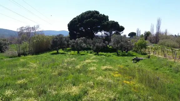 Bergama Atatürk Mahallesinde Bağlar'da Satılık 4.560m2 Bağ 2