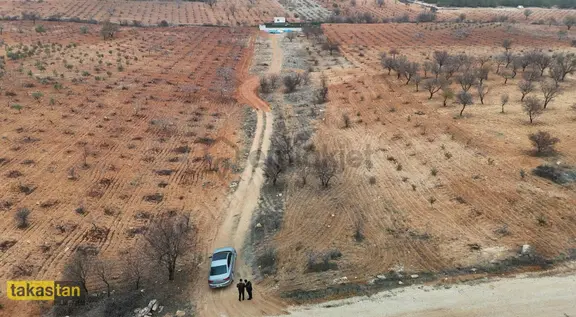 Suboğaz Orman Mazaralı Yatırım Ve Bağ Evi İçin Uygun Arazi 2