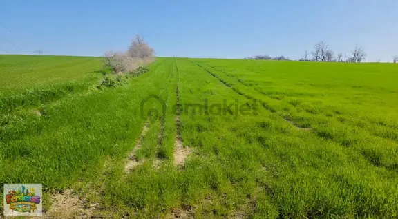 Çanakkale/gelibolu/bolayır Tek Tapu Tarla 22.720 M2 Satılıktır. 1