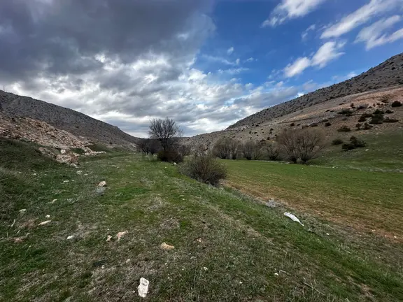 Erzincan İliç Ortatepe Köyünde Satılık Tarla 1