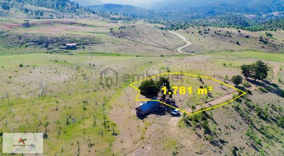 Hadim Göynükkışla'da Ormana Cephe 1.781 M² Müstakil Tarla 2