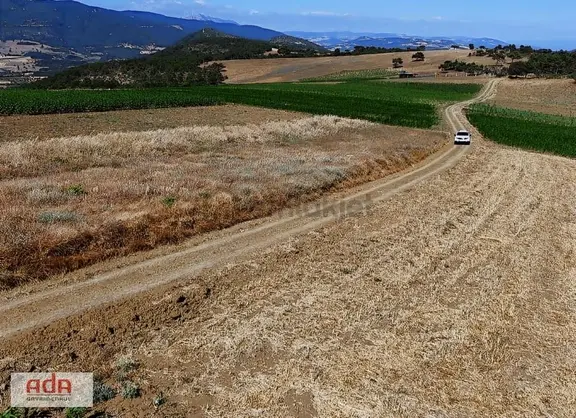 Ada Emlak Karacaören Yol Kenarı Köye Yürüme Mesafesinde 450 M2 2