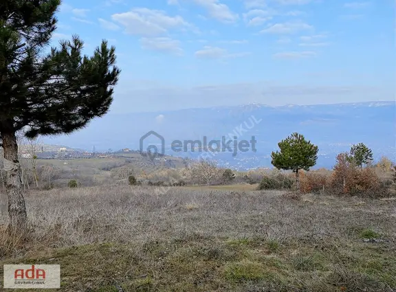 Ada Gayrimenkulden Geyve Hırka Mah.2780m2 Fırsat Arazimiz 2
