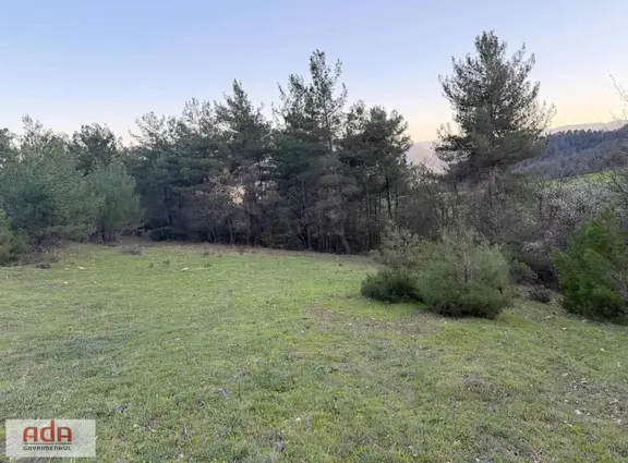 Sakarya Taraklı Avdan Mahallesinde 2.763 M² Yatırımlık Arazi 2