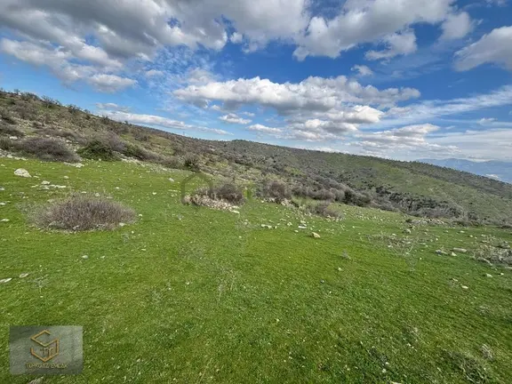 Menemen Görece Köyünde Tek Tapu 9100 M² Satılık Tarla 1