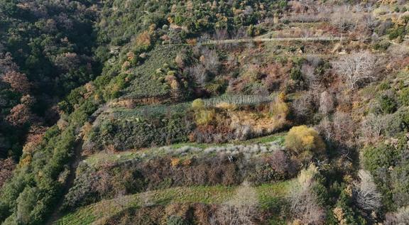 Pek Emlaktan Osmancık Ta Kupon 3730 M2 Bahçe 2