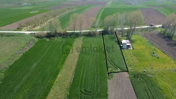 Ergene Pınarbaşı Anaasvalta Cephe Kelepir 780 M2 Bahçe 1