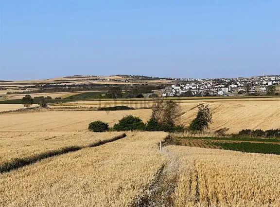 Yerleşim Alanı İçinde İmara Sinir Villa Yakın Satılık Arsa 2