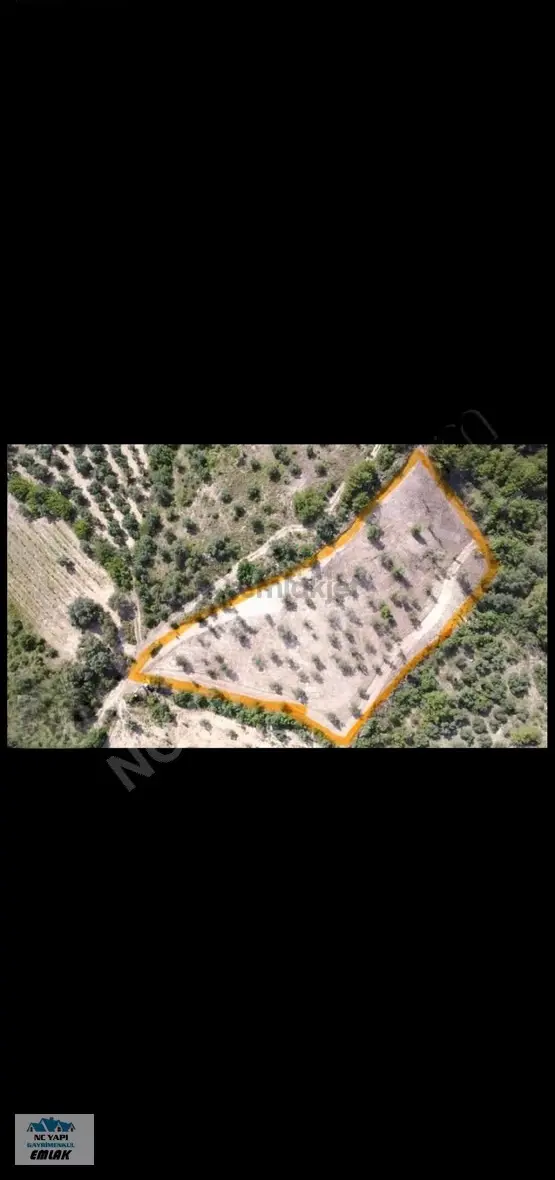 Sakarya Pamukova'da Satılık 5338 M² Müstakil Bağ Arsası 2