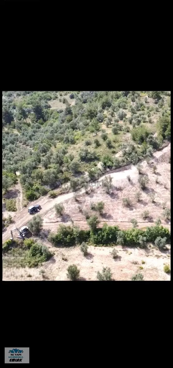 Sakarya Pamukova'da Satılık 5338 M² Müstakil Bağ Arsası 1