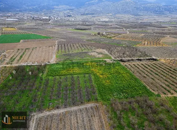 Sakarya Pamukova Hayrettin Köyünde Satılık Tarla 2
