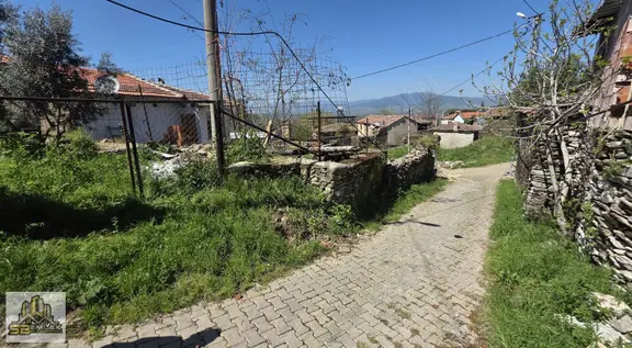 Tire Sb Emlak'tan Çiniyeri Mah. Satılık Zeytinlik 2