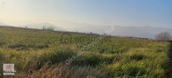 Okkalı Emlak Tan Menemen Emiralem De Satılık Tarla 2