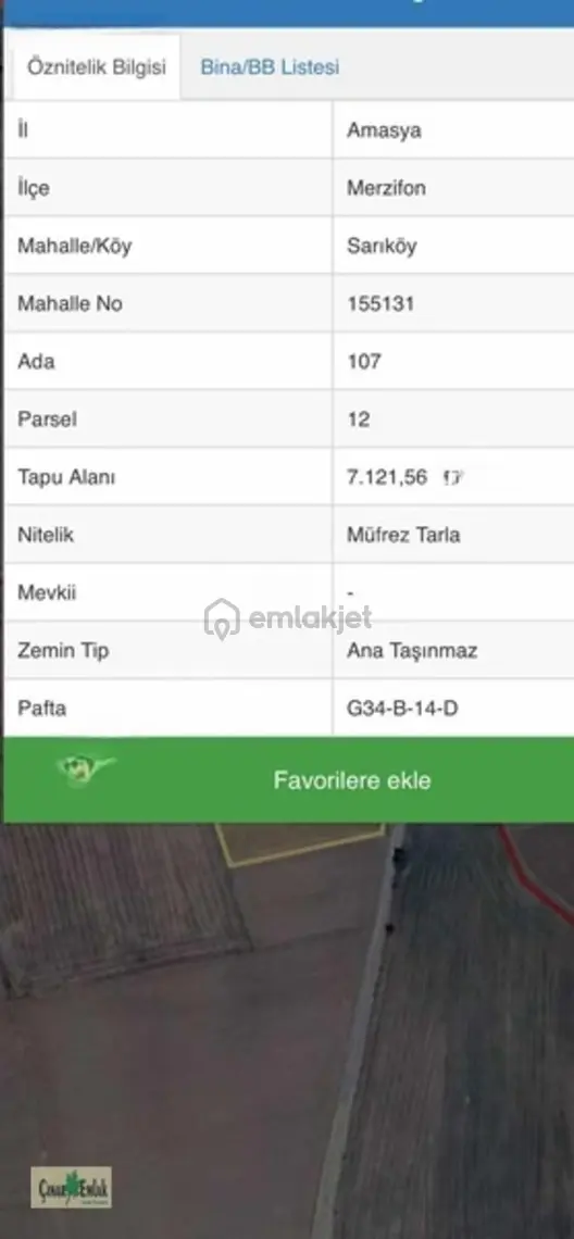 Çınar Emlak'tan Sarı Köy'de Satılık Tarla 2
