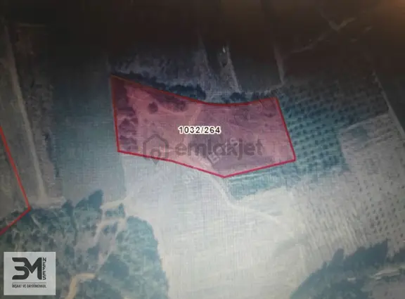 Sakarya Geyve Kozan'da 6055 M² Yatırımlık Tarla 2