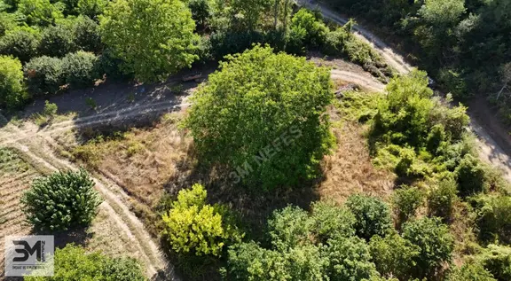 Geyve Karacaören 363 M² Resmi Yola Cephe Arsa 1