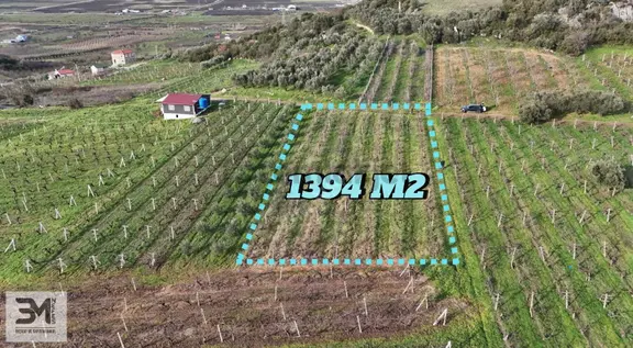 Sakarya Geyve Umurbey 1394m2 Elektrik Su Resmi Yol Fırsat Arsa 1