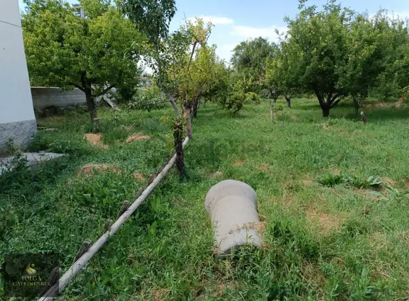 Tolga Gayrimenkul 4.800 M² Yola 145 Metre Cepheli Bağ Evli Bahçe 2